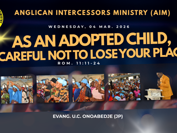 AS AN ADOPTED CHILD, BE CAREFUL NOT TO LOSE YOUR PLACE – Romans 11:11–24